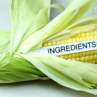 gmo_Corn_ingredients_735_250.jpg