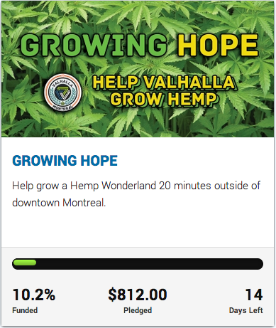 growing hope hemp campaign fund raise montreal field seed greenseed greenseed.me