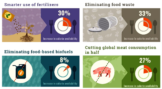 feedingtheworld