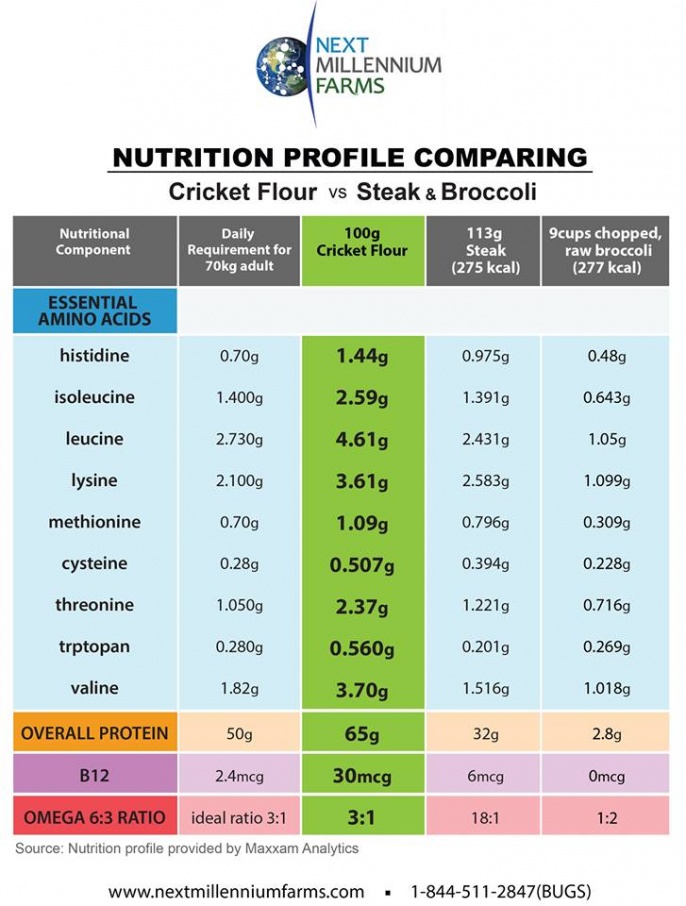 comparative chart cricket meat broccoli future food