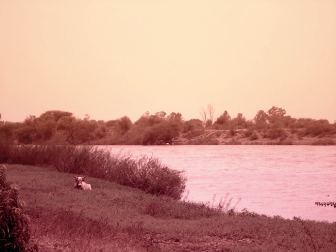 FIGURE 1 | THE DOUÉ RIVER AT THE ECO-COMMUNE AT GUÉDÉ CHANTIER