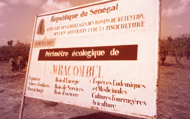 FIGURE 4 | PROJECT SIGN COMMON IN ALL VILLAGES IN SENEGAL, NOTES THE "ECOLOGICAL PERIMETER" FOR GOVERNMENT FUNDED ECOVILLAGE 