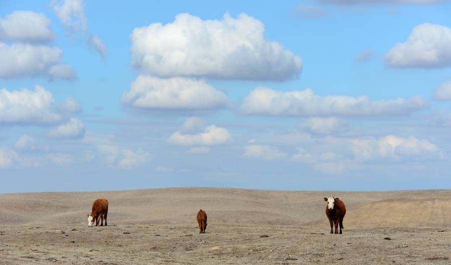 dry fields california