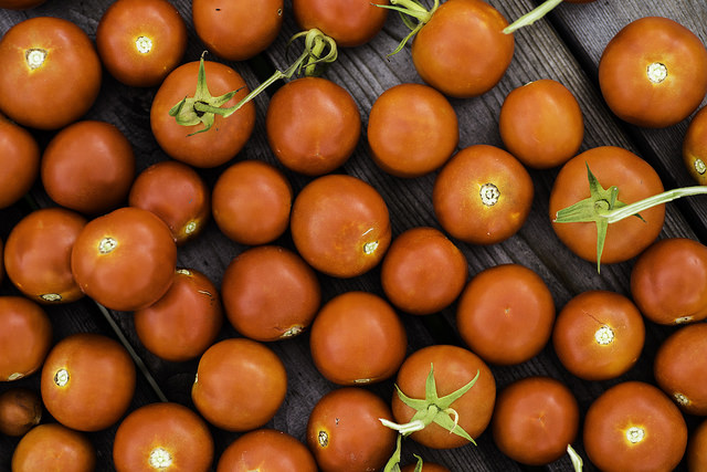 Organic Tomatoes Lawrence Miglialo Valhalla Farms